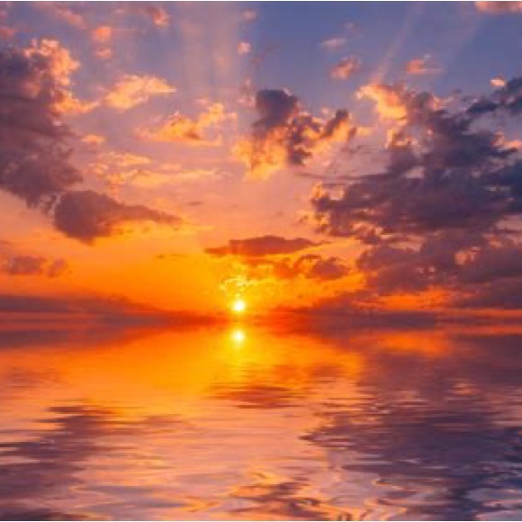 Meet your Posher, Amanda - Picture 1 of 1